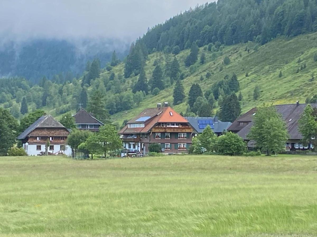 Gaestehaus Kaiser Menzenschwand-Hinterdorf Eksteriør billede